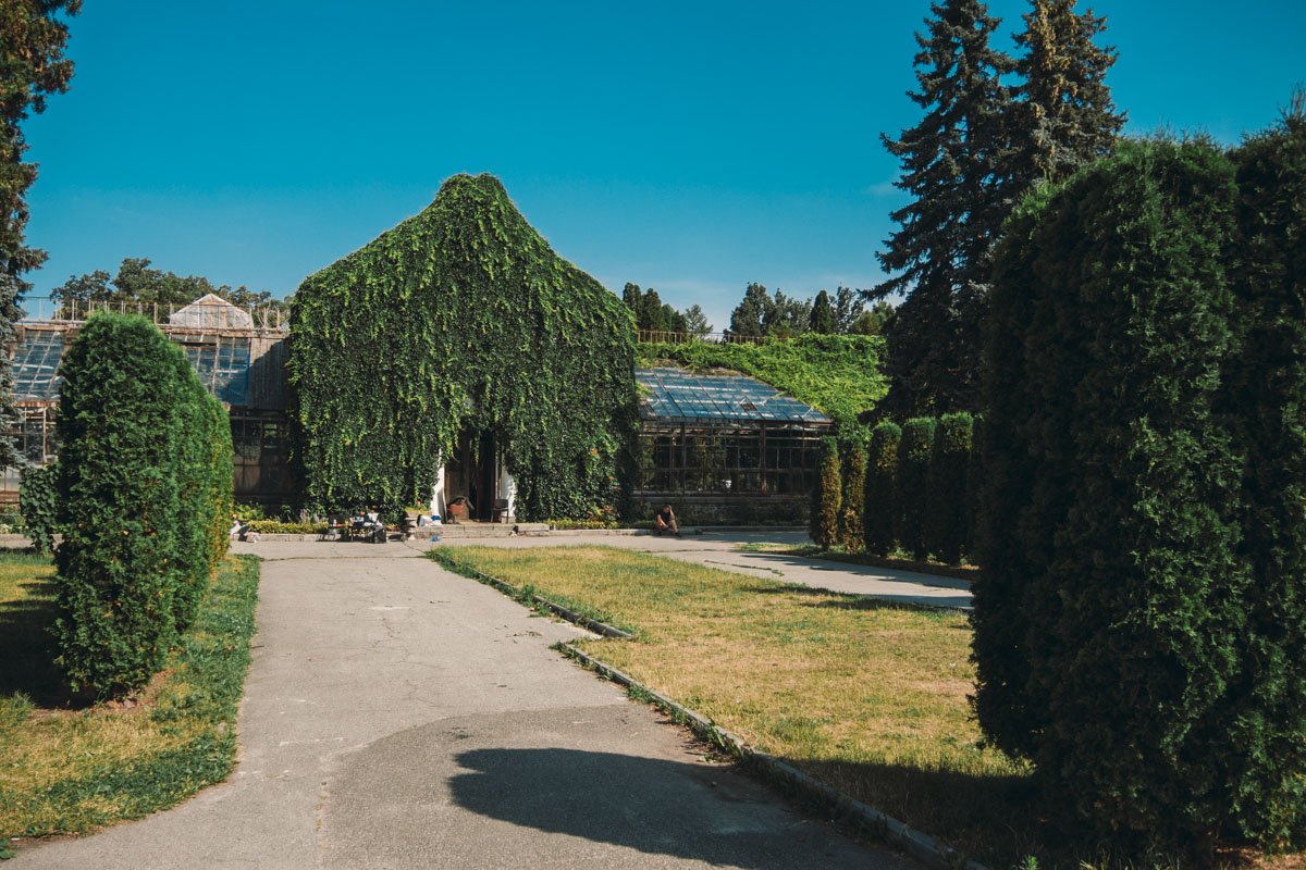 Здесь отсняли сотни свадеб, а может и тысячи 