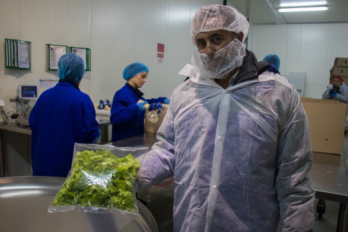 Встречайте: Батавия!