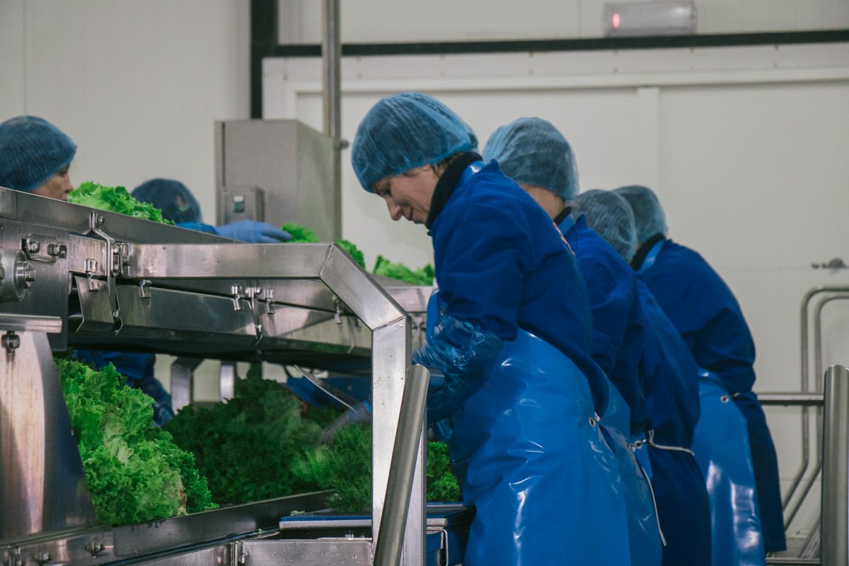 Для соблюдения санитарных норм работники надевают спецодежду и дезинфицируют руки и обувь