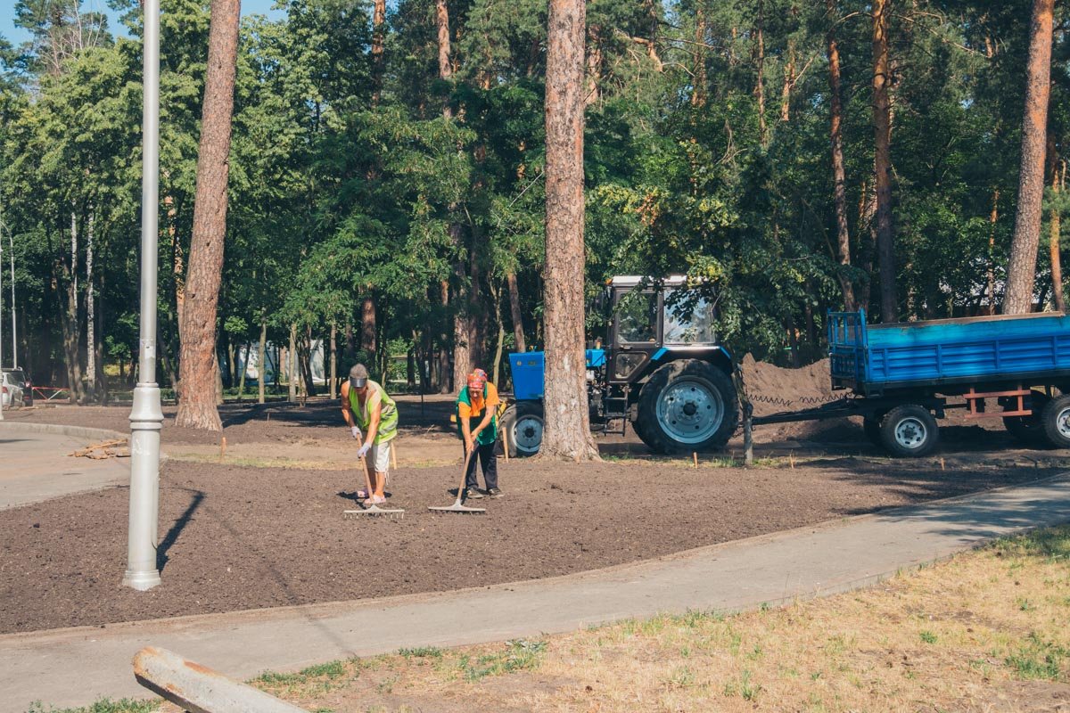 Газоны тоже паркам нужны