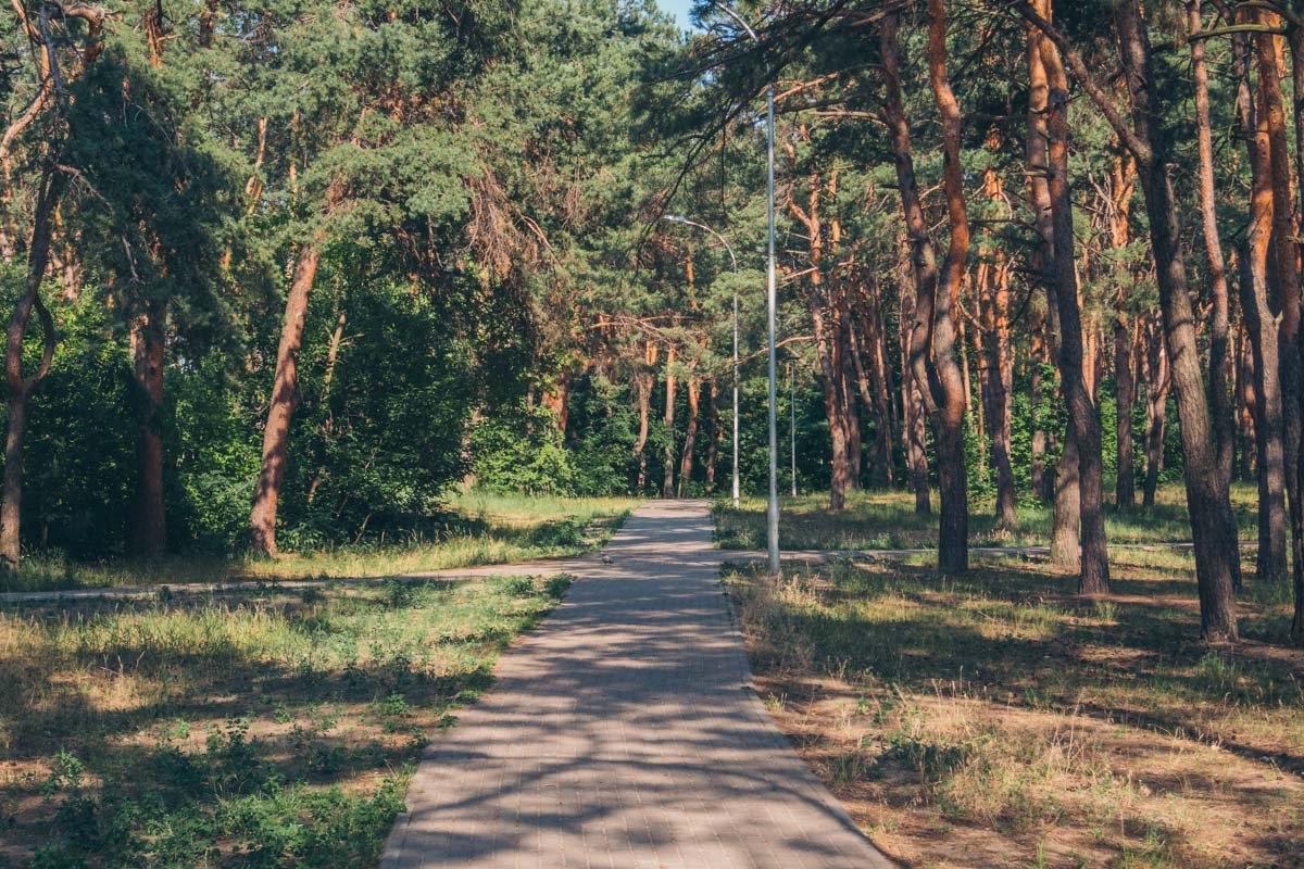 Появились дорожки и новое освещение