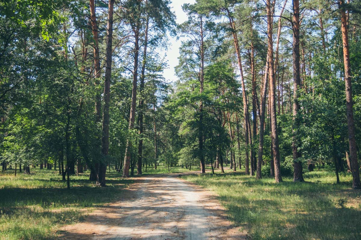 Здесь, видимо, тоже не ступала нога коммунальщика
