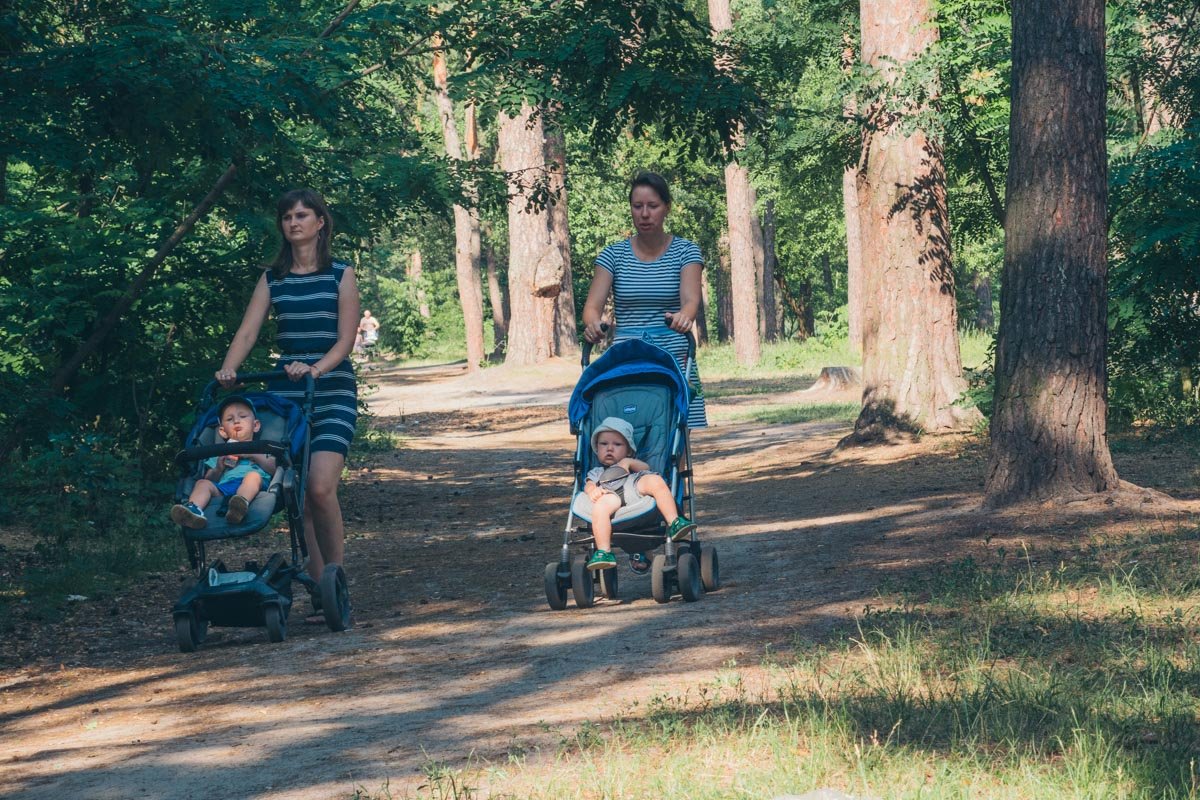Дорожки проложили не во всех местах парка