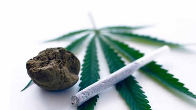 В Канаде легализовано употребление марихуаны В Канаде легализовано употребление марихуаны