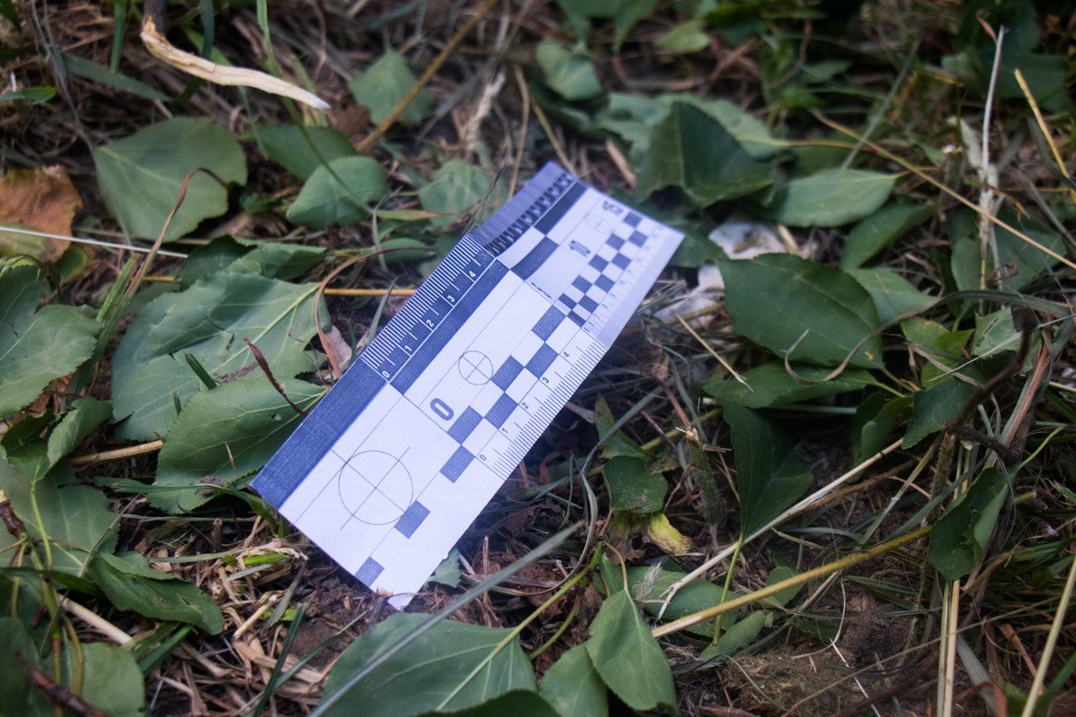 На месте работали правоохранители и скорая помощь. На месте работали правоохранители и скорая помощь.