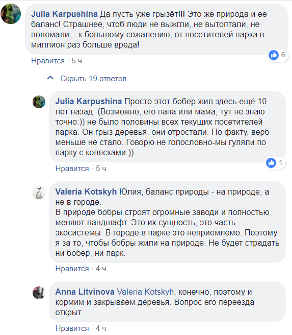 Утверждают, что бобры живут на Дарнице дольше людей. И трогать их нельзя Утверждают, что бобры живут на Дарнице дольше людей. И трогать их нельзя