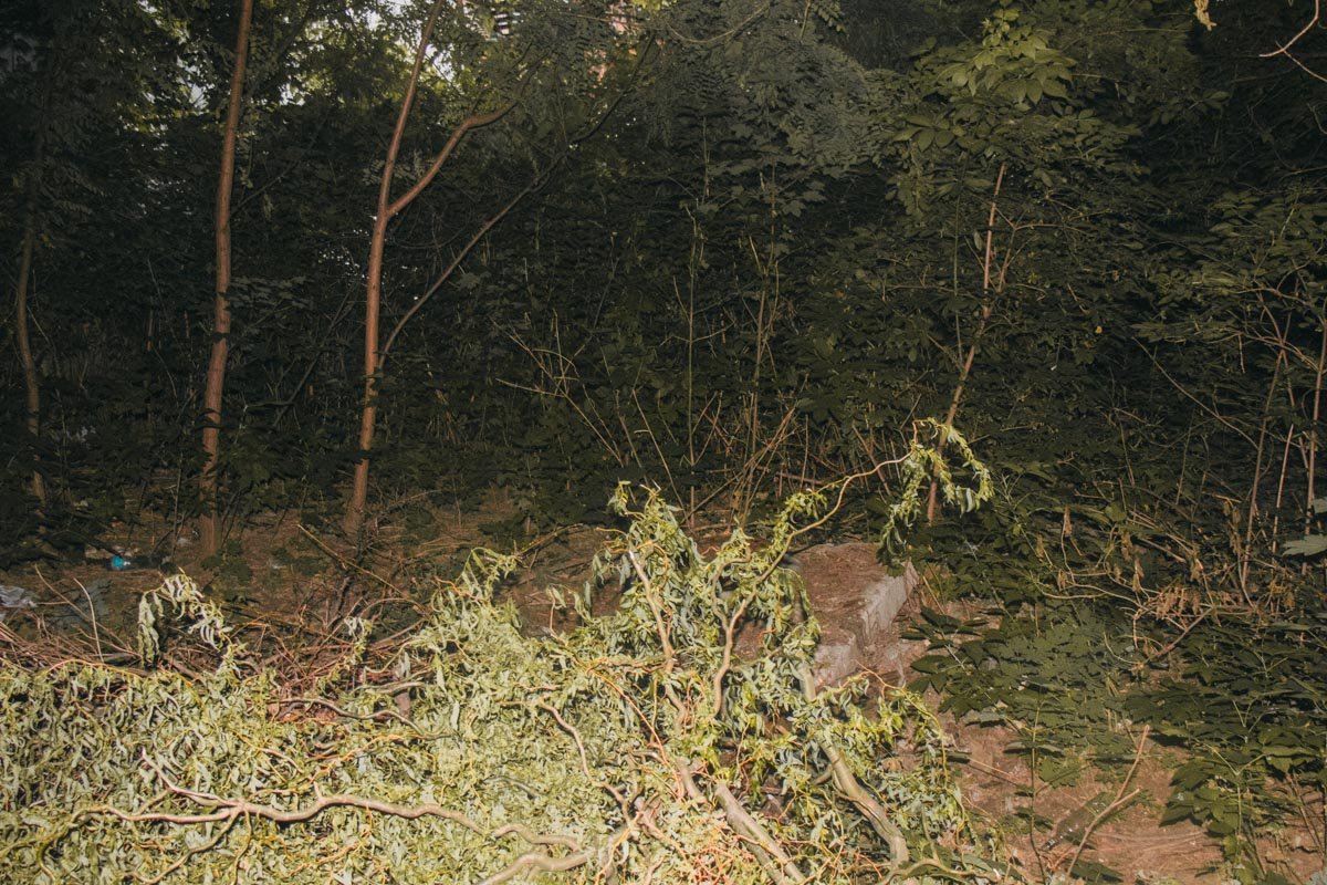 Тело нашел местный житель во дворе своего дома по адресу Леонида Первомайского, 11. Труп лежит в кустах среди пустых бутылок и шприцов