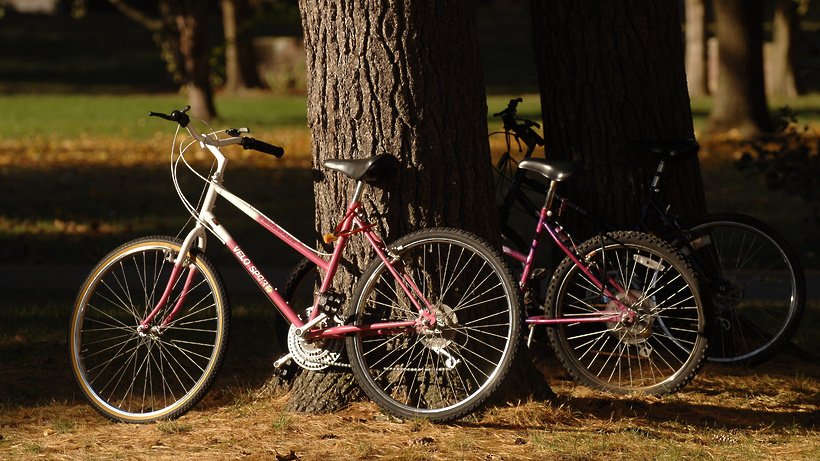 Всегда весело, полезно и захватывающе покататься на велосипеде