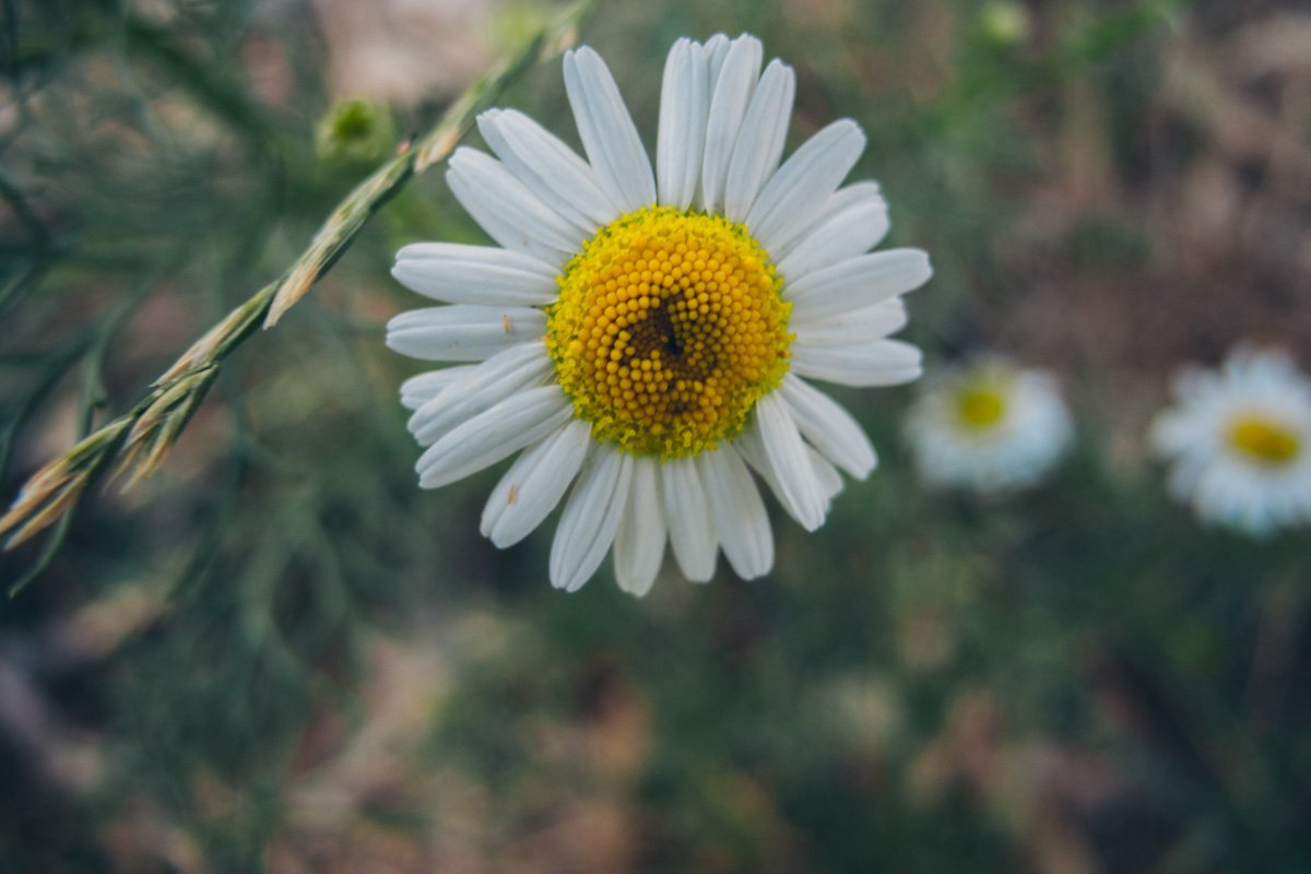 Но природа все равно прекрасна