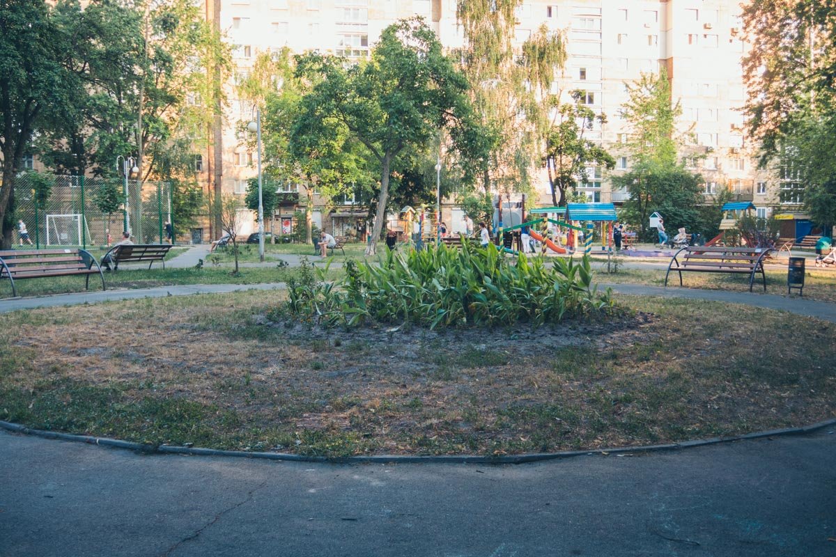 Клумба устала 