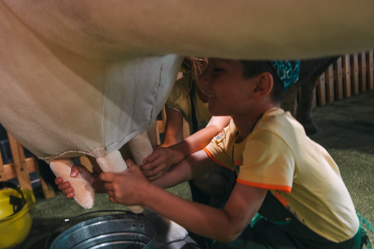 В детском "Городке профессий" дети могут примерить на себя любую роль, даже доярки В детском "Городке профессий" дети могут примерить на себя любую роль, даже доярки