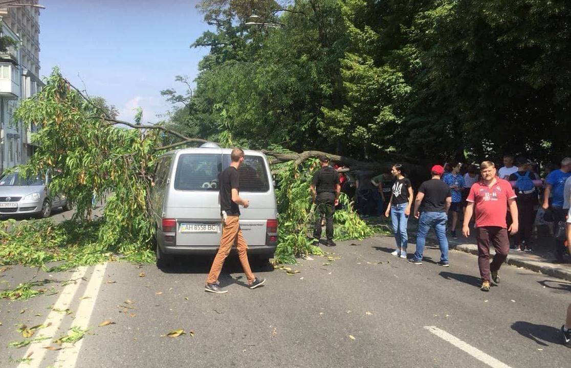 На улице Грушевского в центре Киева на проезжую часть упало большое дерево. Фото очевидцев На улице Грушевского в центре Киева на проезжую часть упало большое дерево. Фото очевидцев