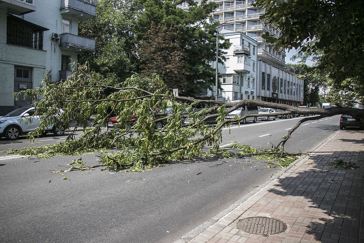 Инцидент случился около 11:30 Инцидент случился около 11:30