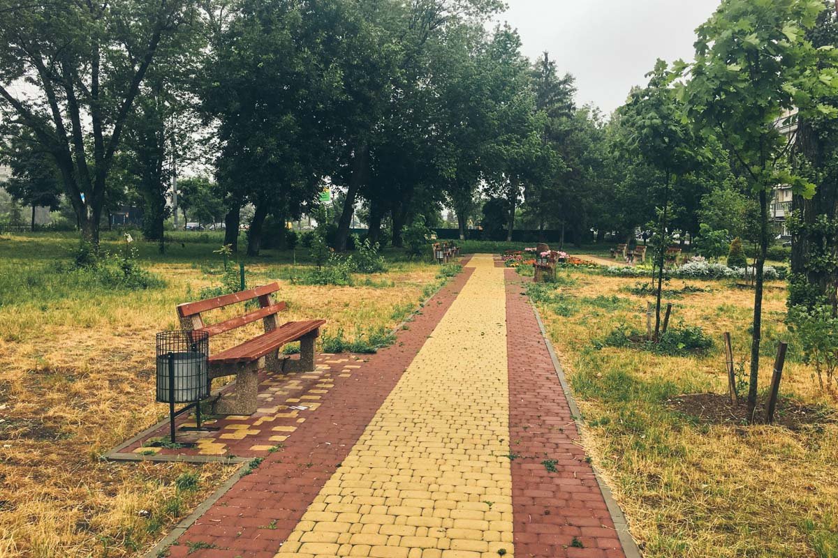 Тут проложили новые аллеи, поставили скамейки, мусорные урны