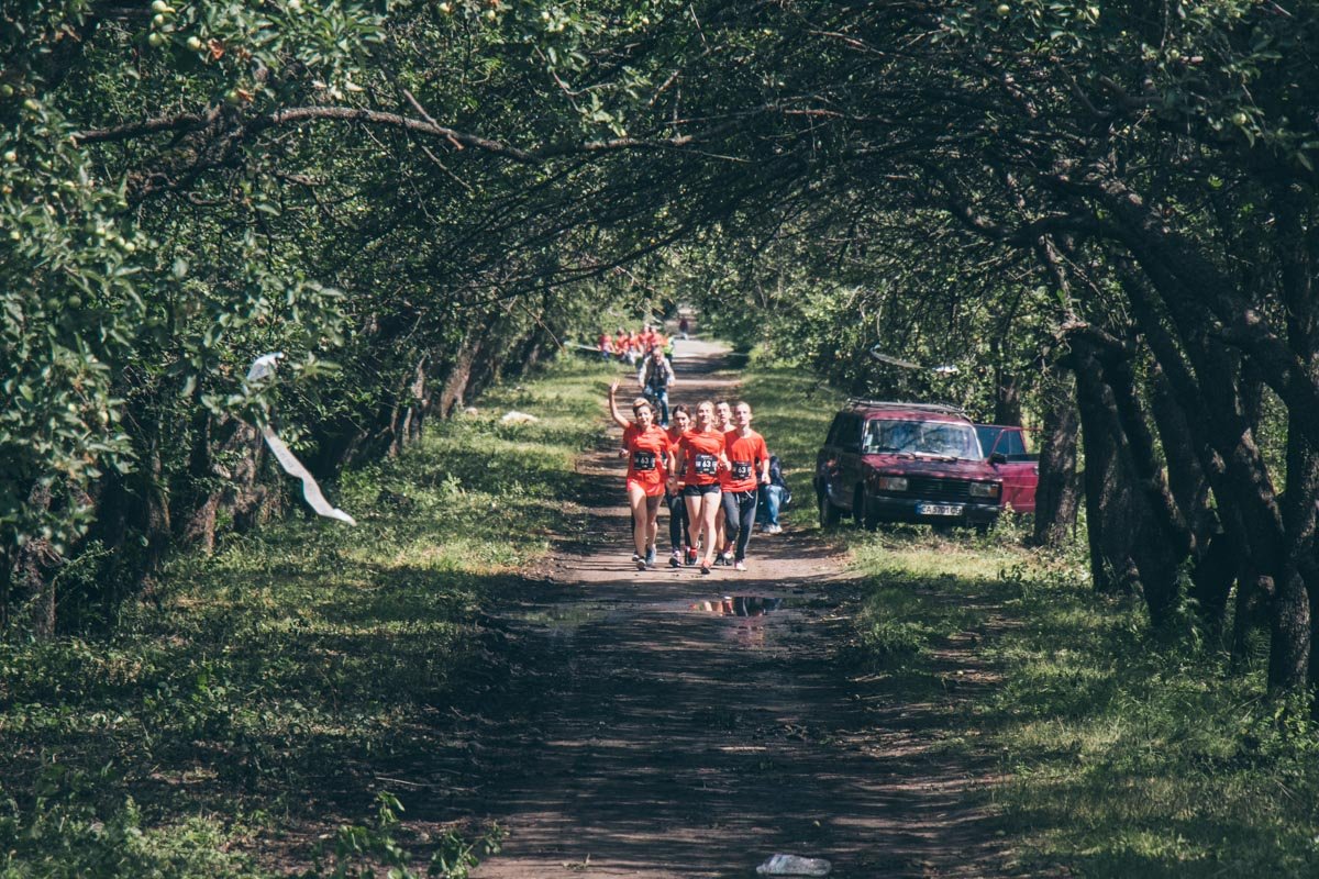 Хорошо бегать на природе