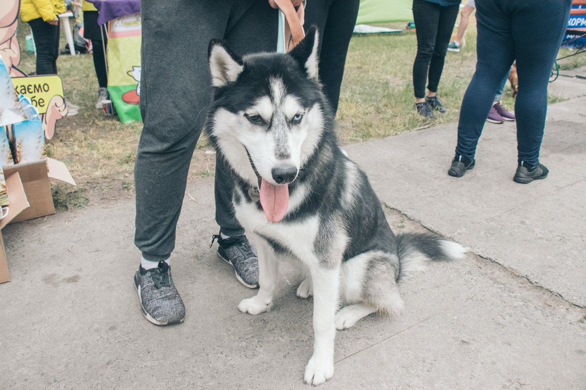 Жарко в шубе даже в прохладу