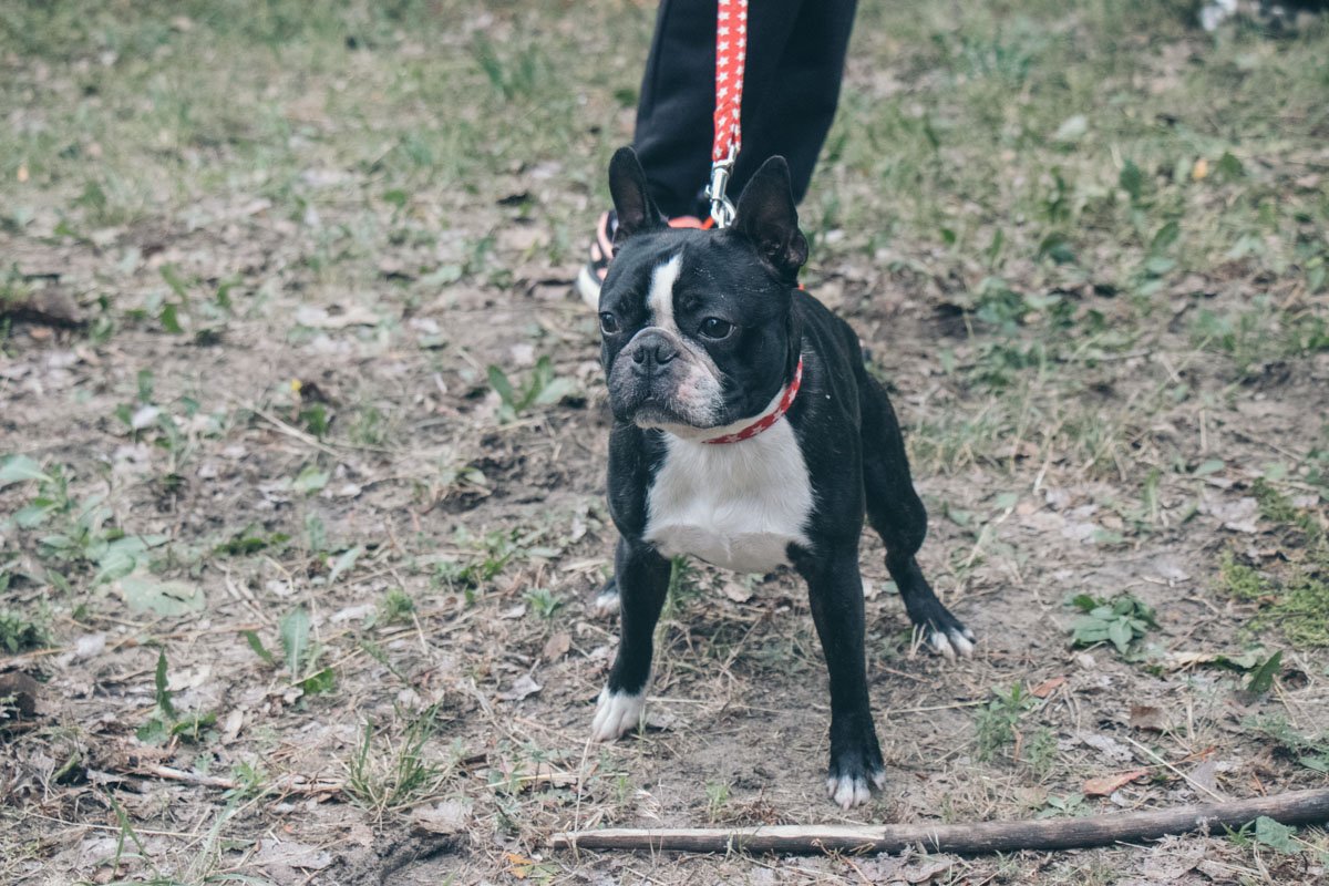 Маленький, да удаленький