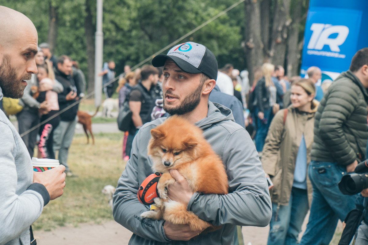 Хозяин, оптпусти меня и давай пойдем домой