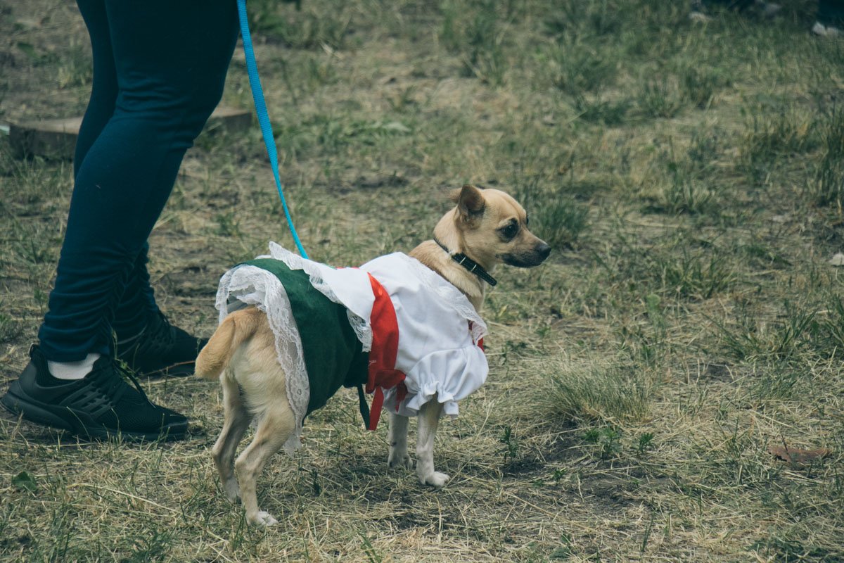 Забег моде не помеха