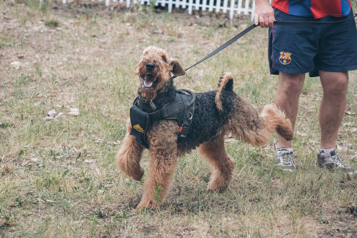Когда всех обогнал одной левой