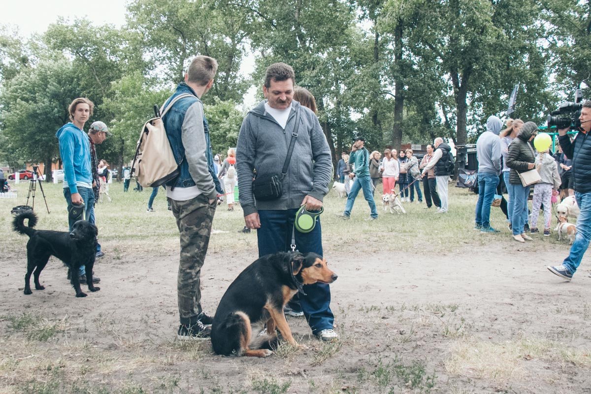Хозяин, меня судьба к такому не готовила...