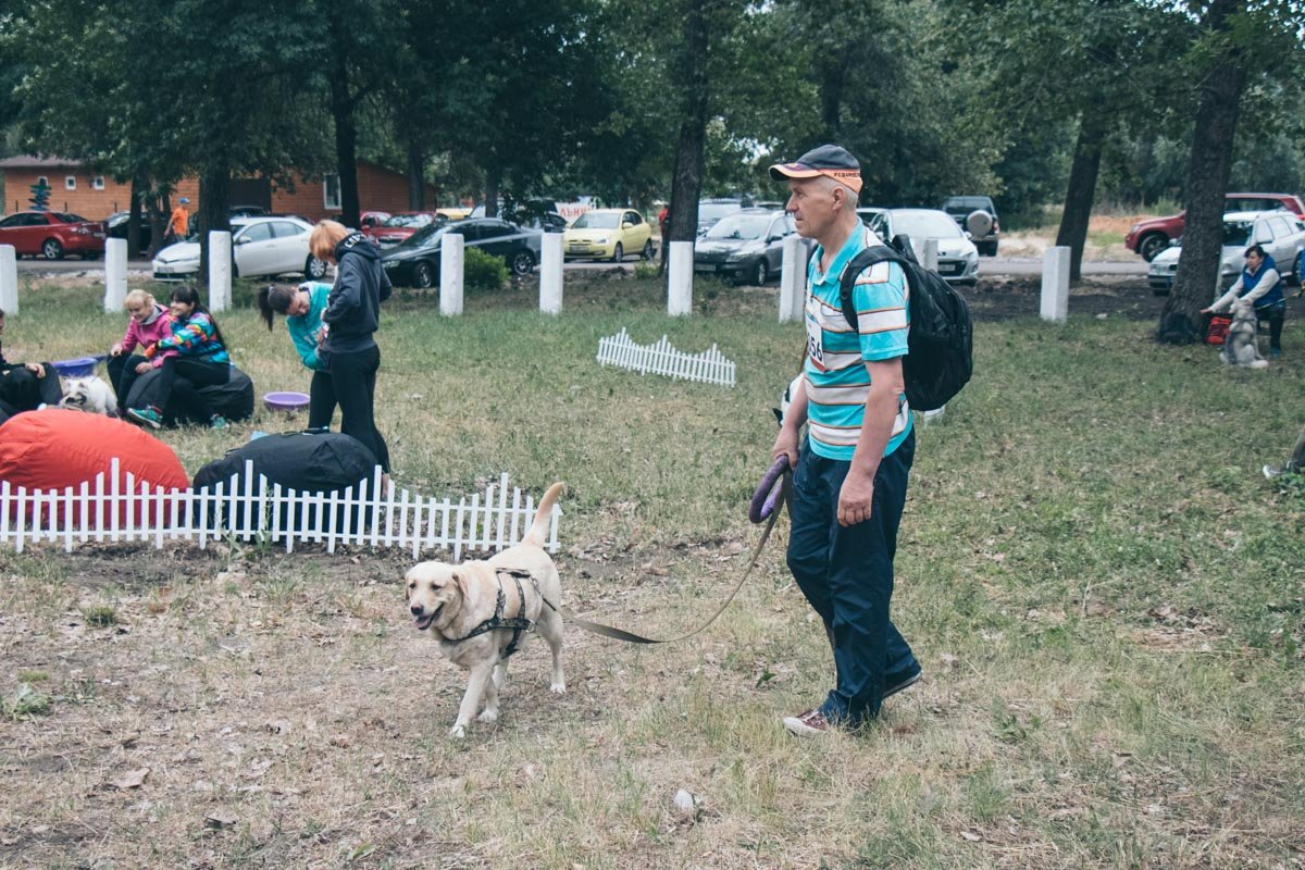 Где там наш старт?