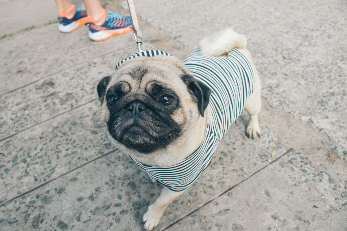 Посмотри в мои глаза - и весь мир подождет