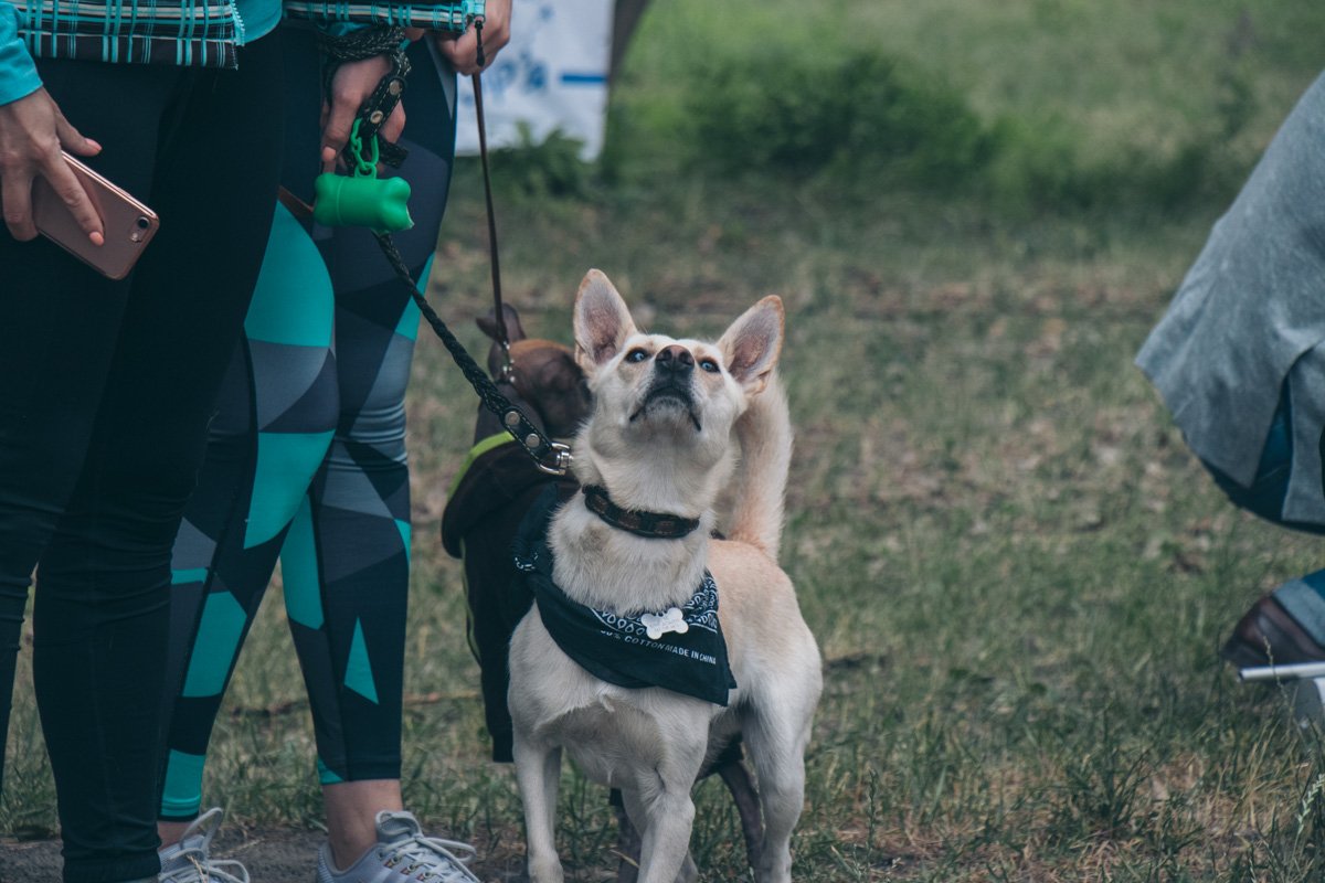 Когда еще не победил, но уже представил себя на пьедестале