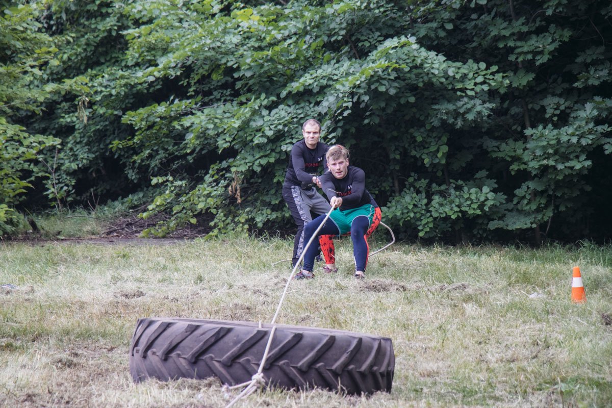 Тянем, репку, потянем!