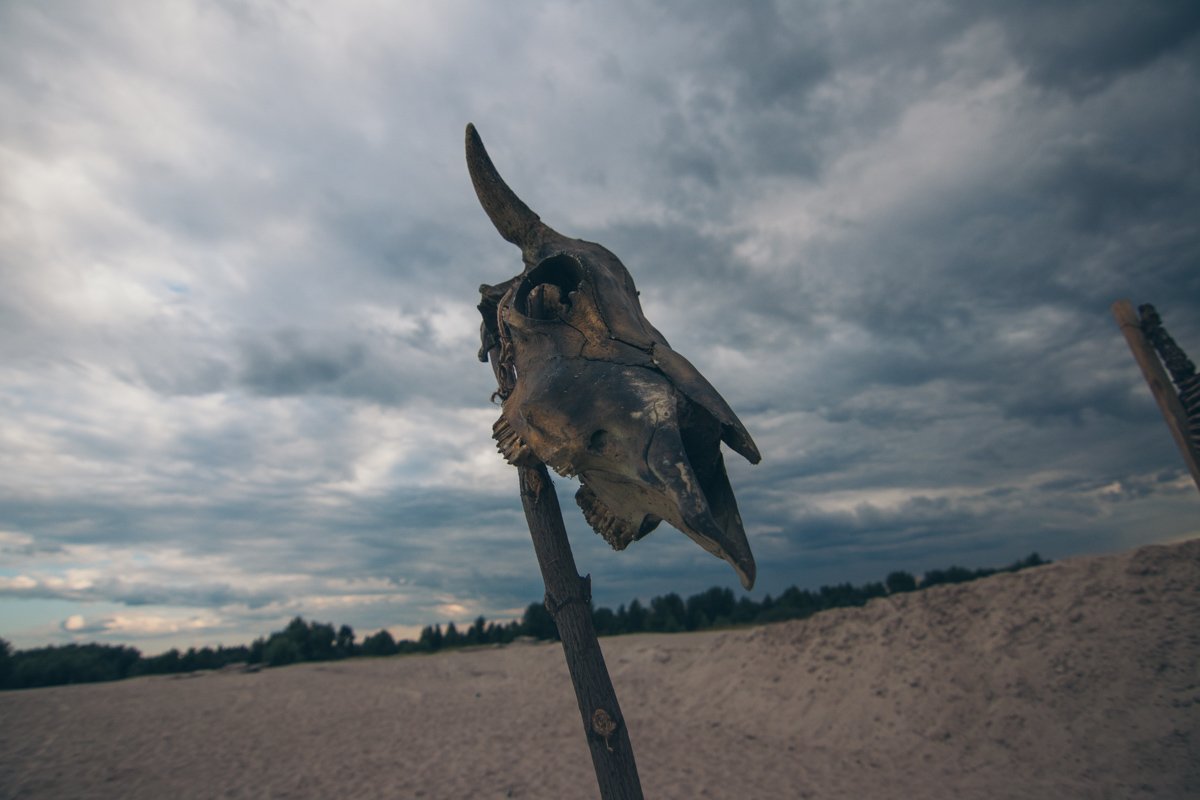 Декорации тоже не подвели Декорации тоже не подвели