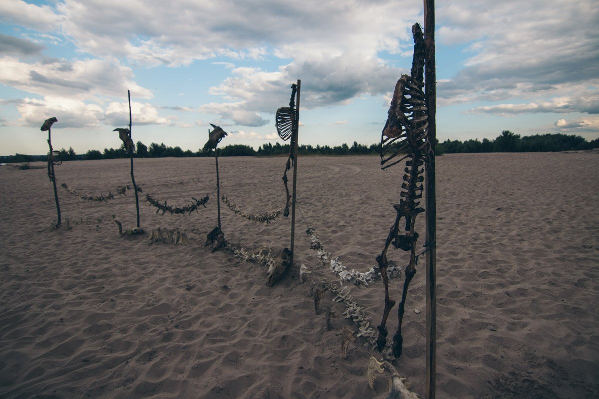 На площадку привезли огромное количество костей На площадку привезли огромное количество костей