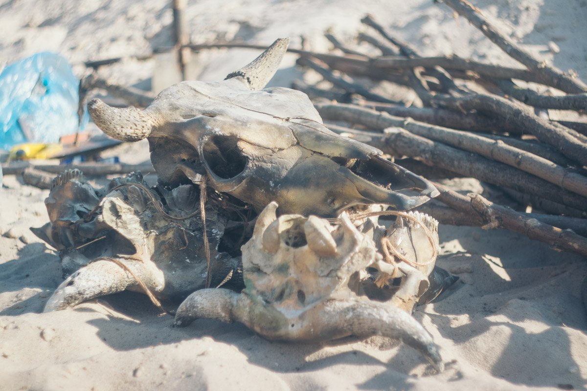 А вот кости старались не трогать А вот кости старались не трогать