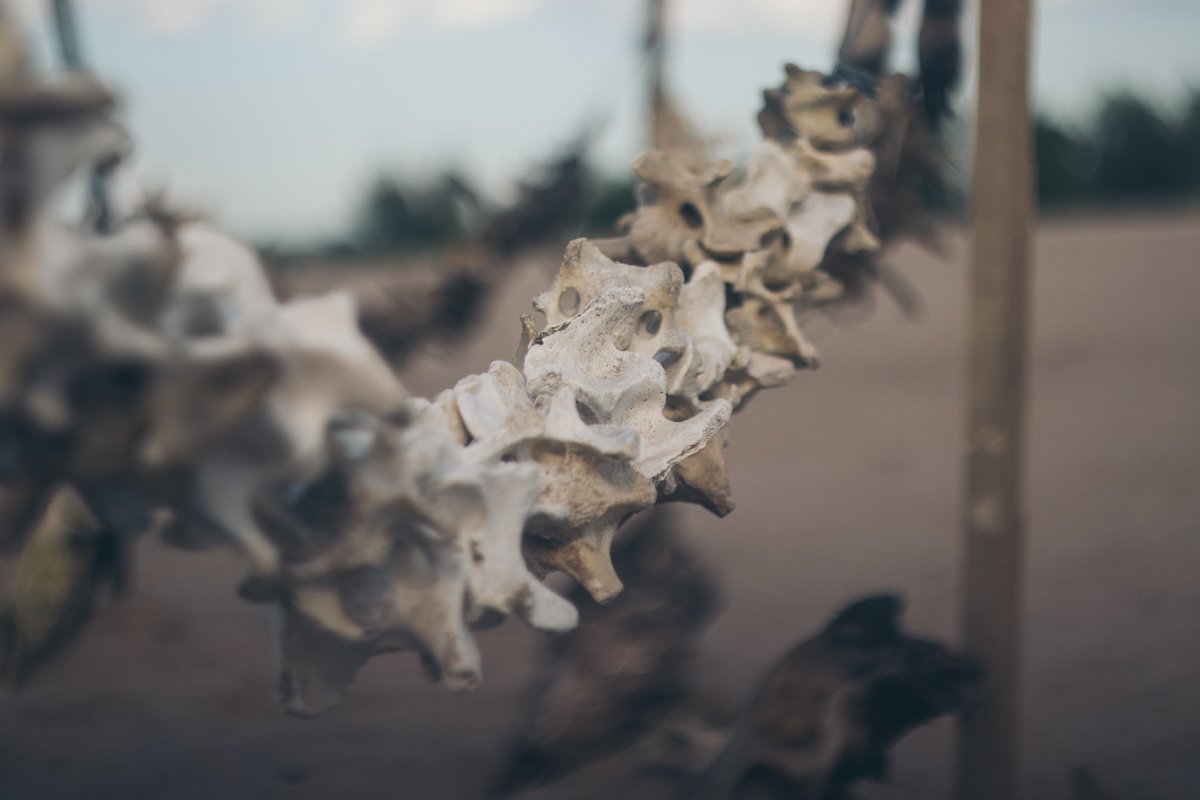 Из костей сделали даже гирлянды Из костей сделали даже гирлянды