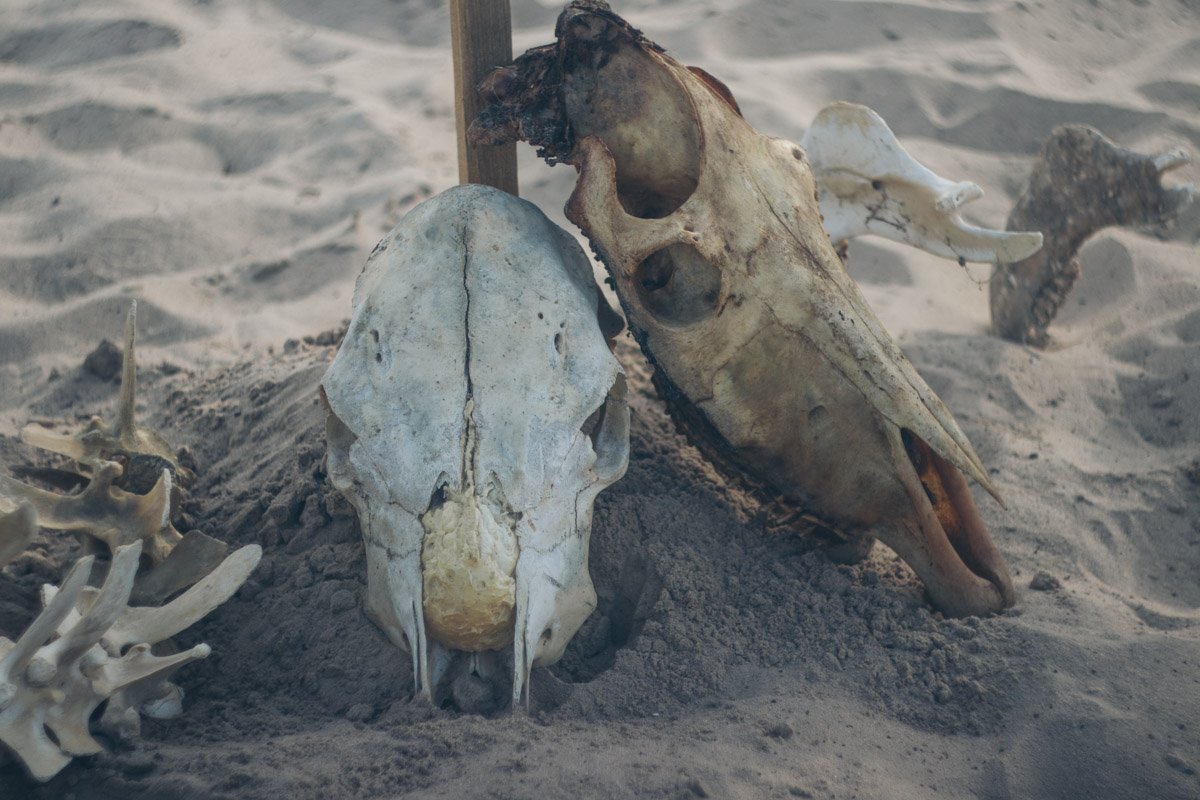 Черепа на съемках были настоящими Черепа на съемках были настоящими