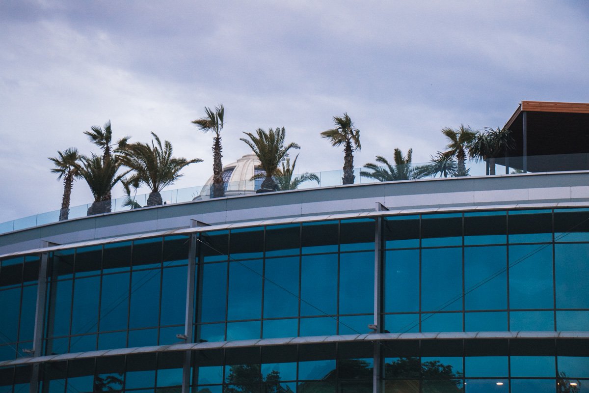 Тропики в центре города