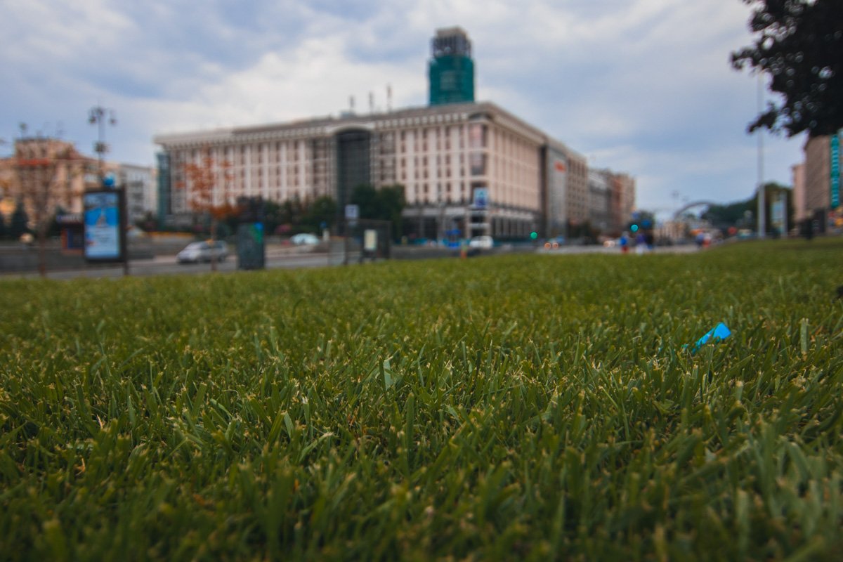 Сочный зеленый 