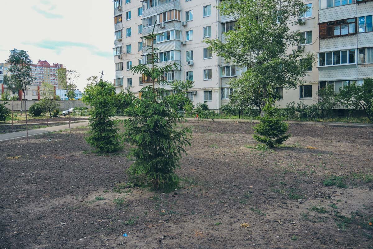 Подготовили грунт под газон