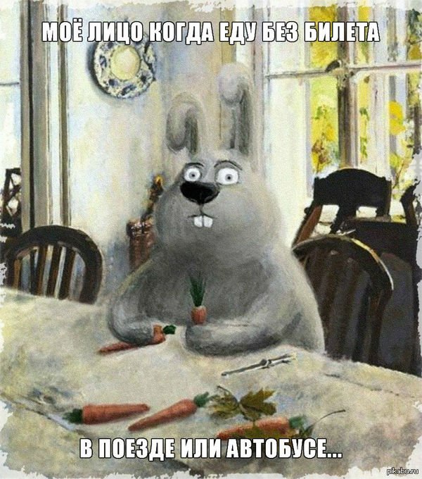 Зайцы милые, а безбилетники - нет