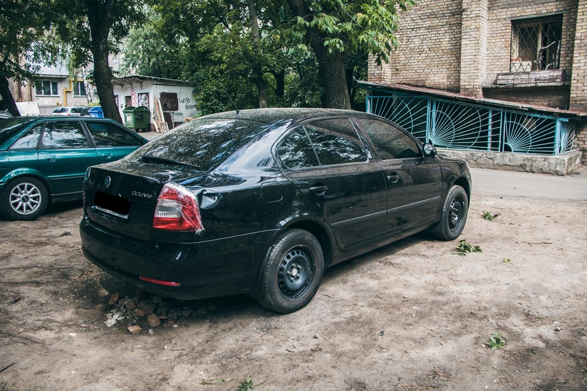Владелец поврежденной машины рассказывает, что ветки с этого дерева обрушиваются на его авто уже второй раз 