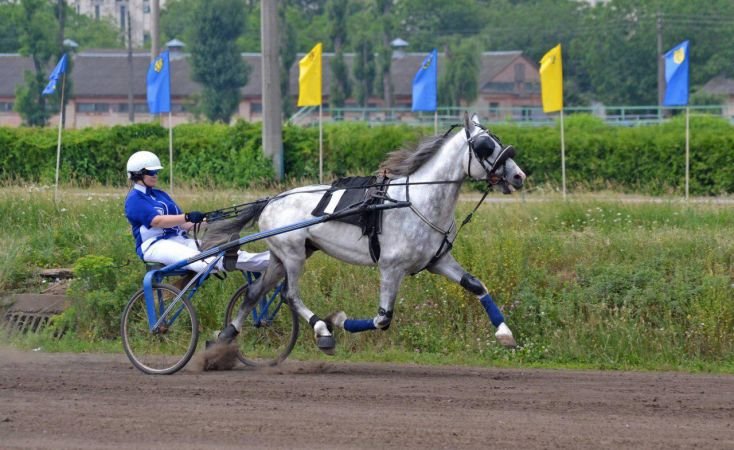 Киевский ипподром приглашает на праздничную программу и соревнования