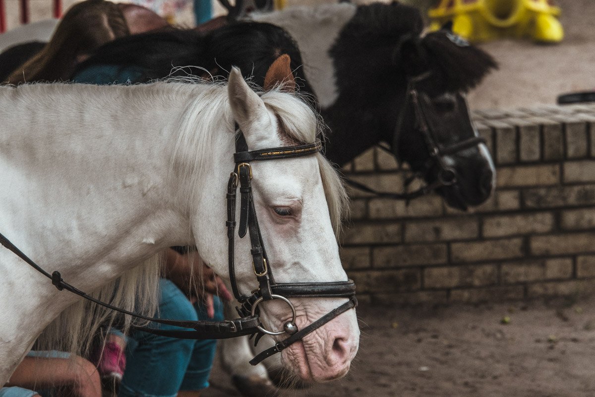 Интересно, о чем она думает?