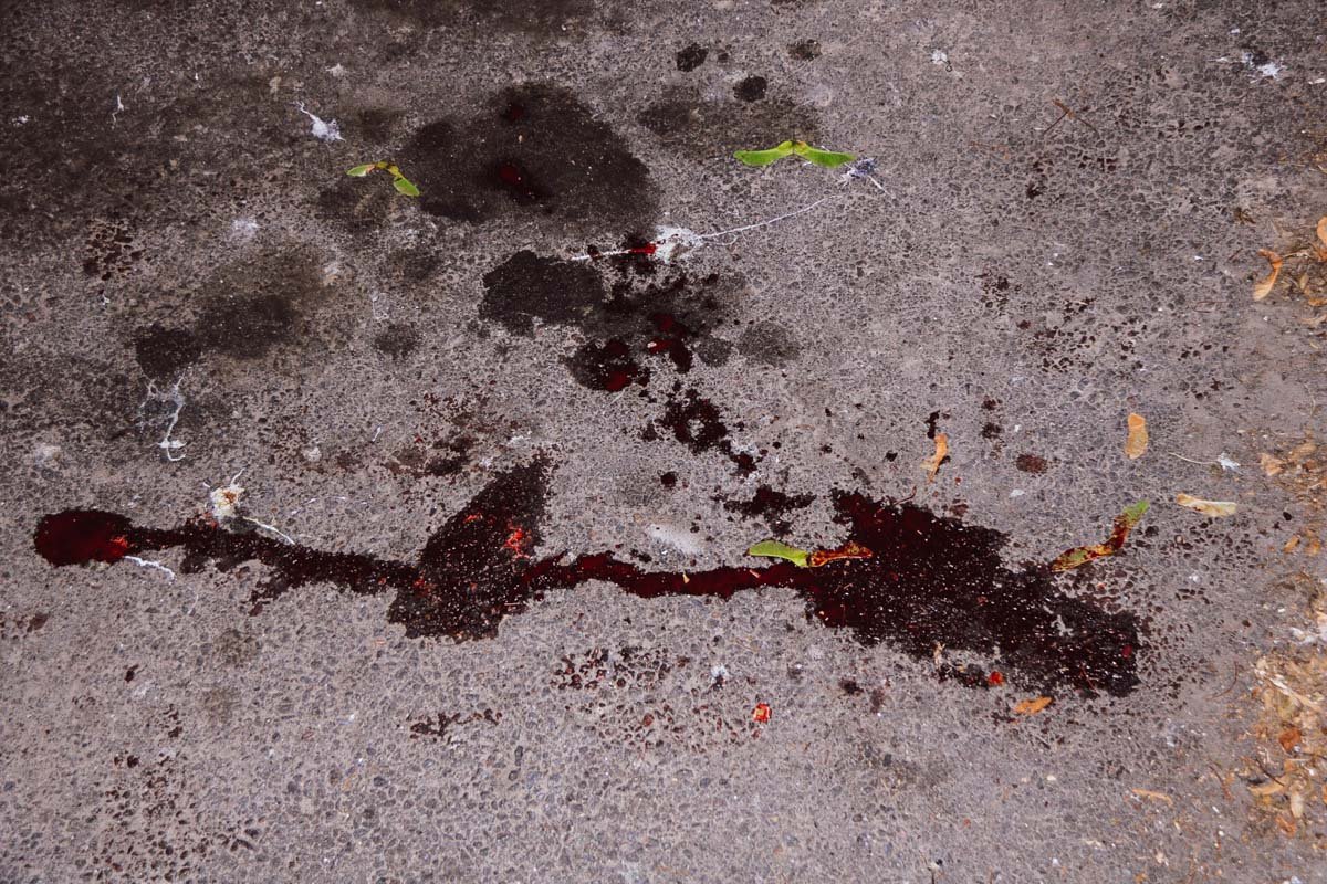 По словам очевидцев, произошел конфликт, в ходе которого прозвучало около пяти выстрелов По словам очевидцев, произошел конфликт, в ходе которого прозвучало около пяти выстрелов