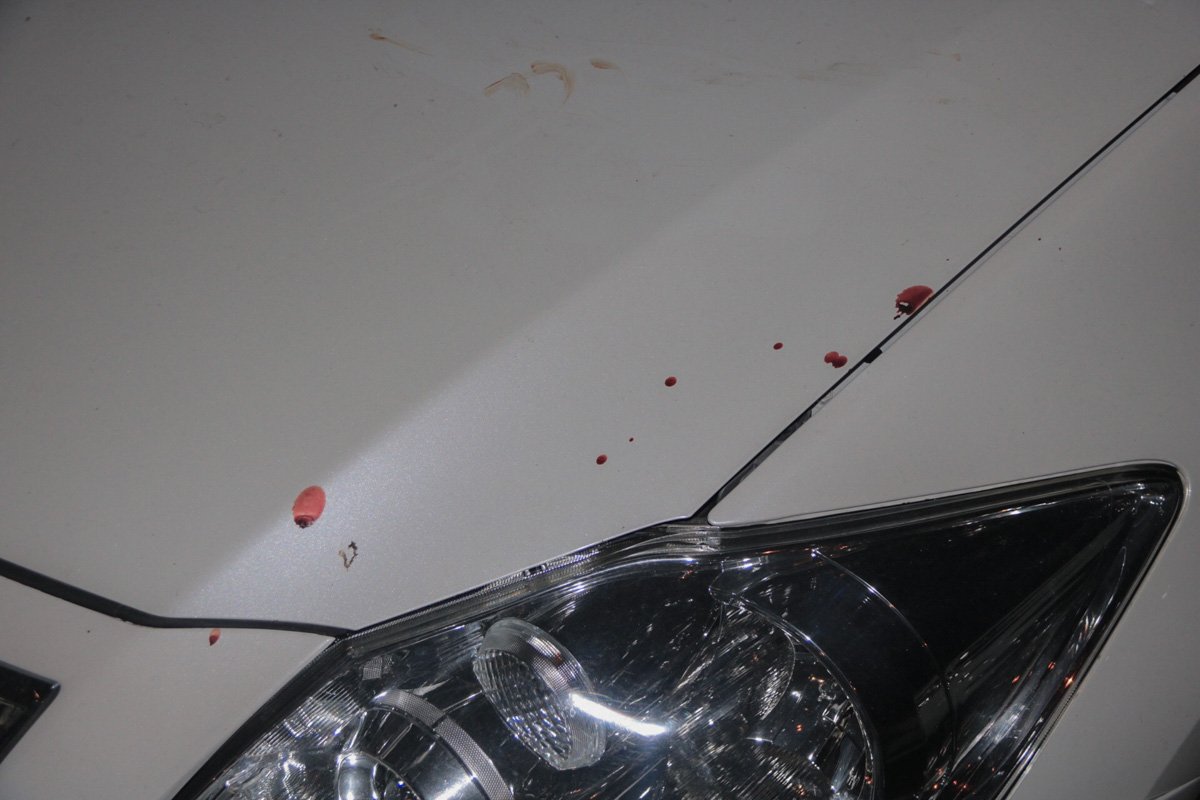 На автомобиле присутствуют следы крови На автомобиле присутствуют следы крови