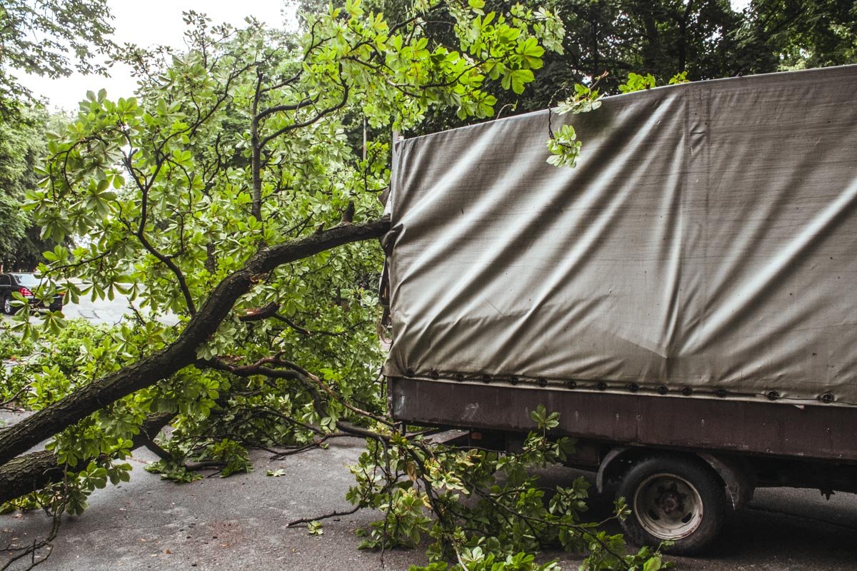 В парке КПИ дерево упало на «Газель»