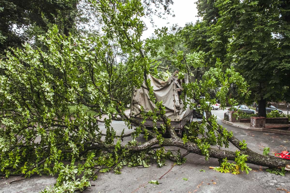  Неприятную картину владелец обнаружил ранним утром 