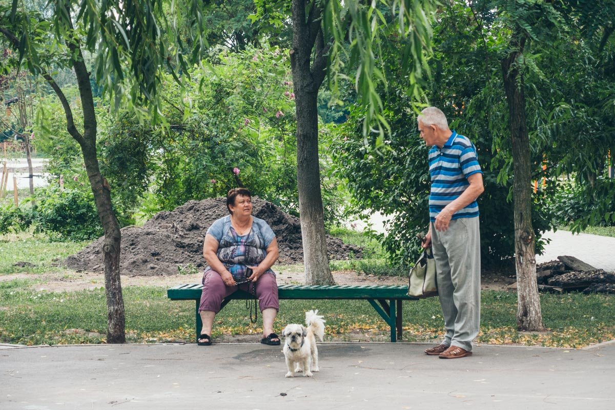 Шарик пристально следит за ремонтом 