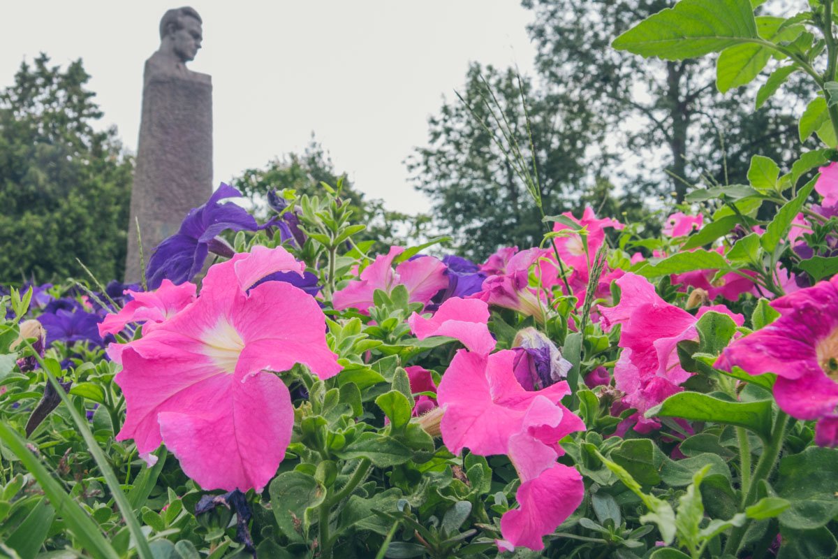 За клумбами явно ухаживают больше, чем за дорогами