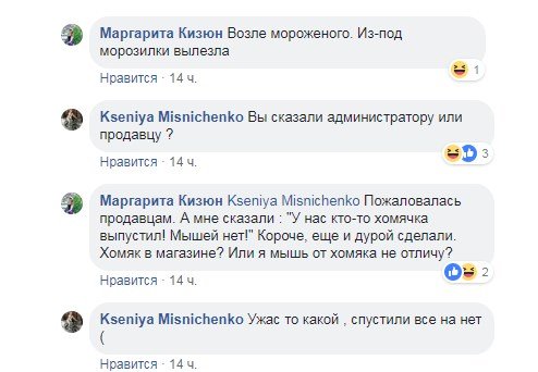 В Киеве в супермаркете на Теремках покупателя покусала мышь 2