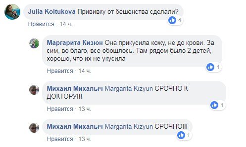 В Киеве в супермаркете на Теремках покупателя покусала мышь 3