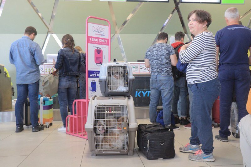 Авиакомпания Bravo Airwaves не отвечает на звонки, люди все еще в ожидании